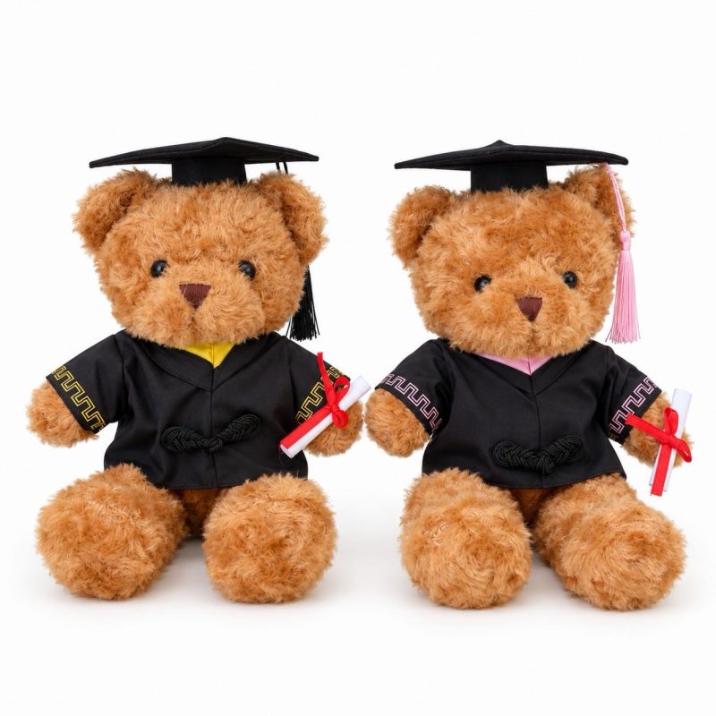 Little Graduate - Curly Teddy